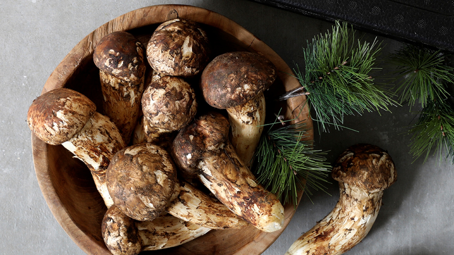 송이버섯 특등급 2