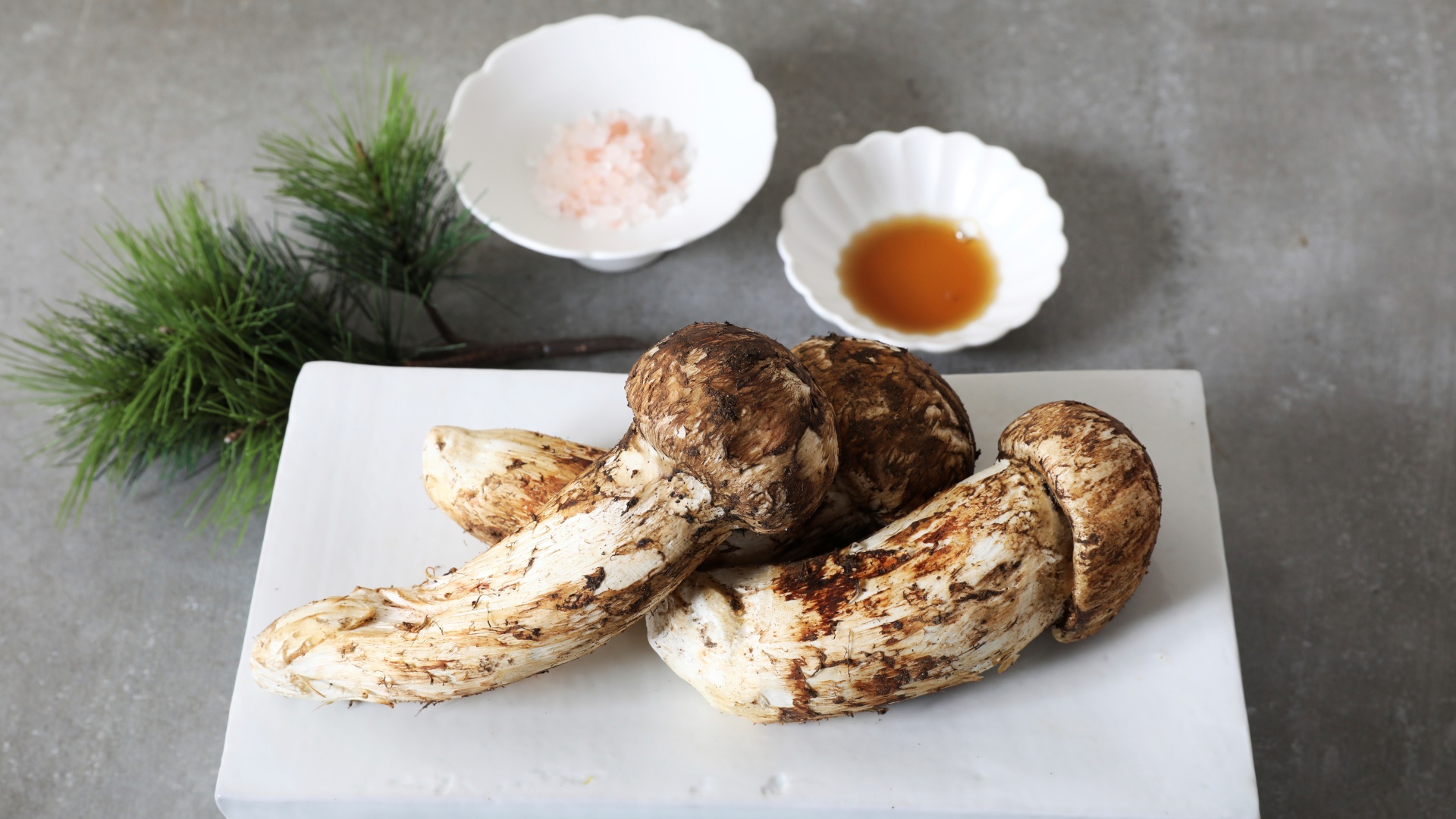 송이버섯 1등급 2